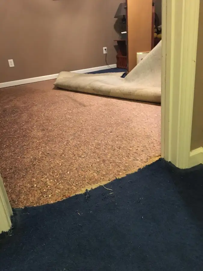 Carpet pad removal revealing water damage during Water Mitigation Services in Annandale