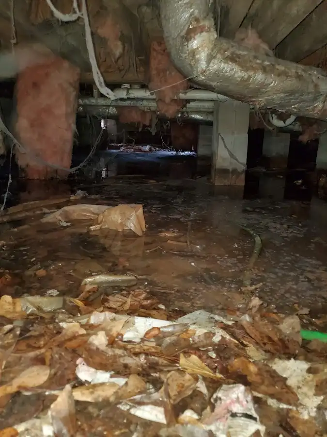 Crawl space flood assessment for Commercial Water Damage Restoration in Annandale