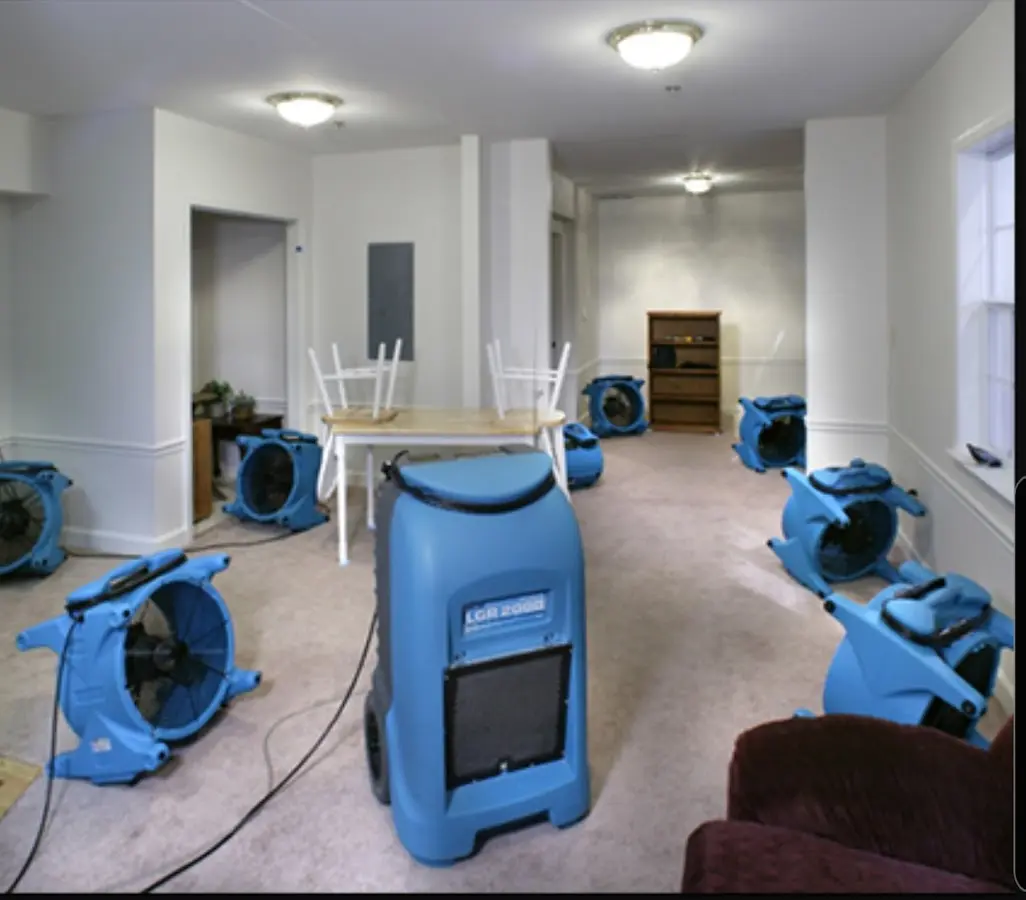 Air movers and dehumidifier setup for Water Extraction & Removal in Annandale