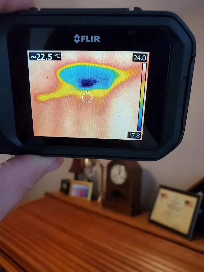 Thermal imaging inspection for water damage in Annandale