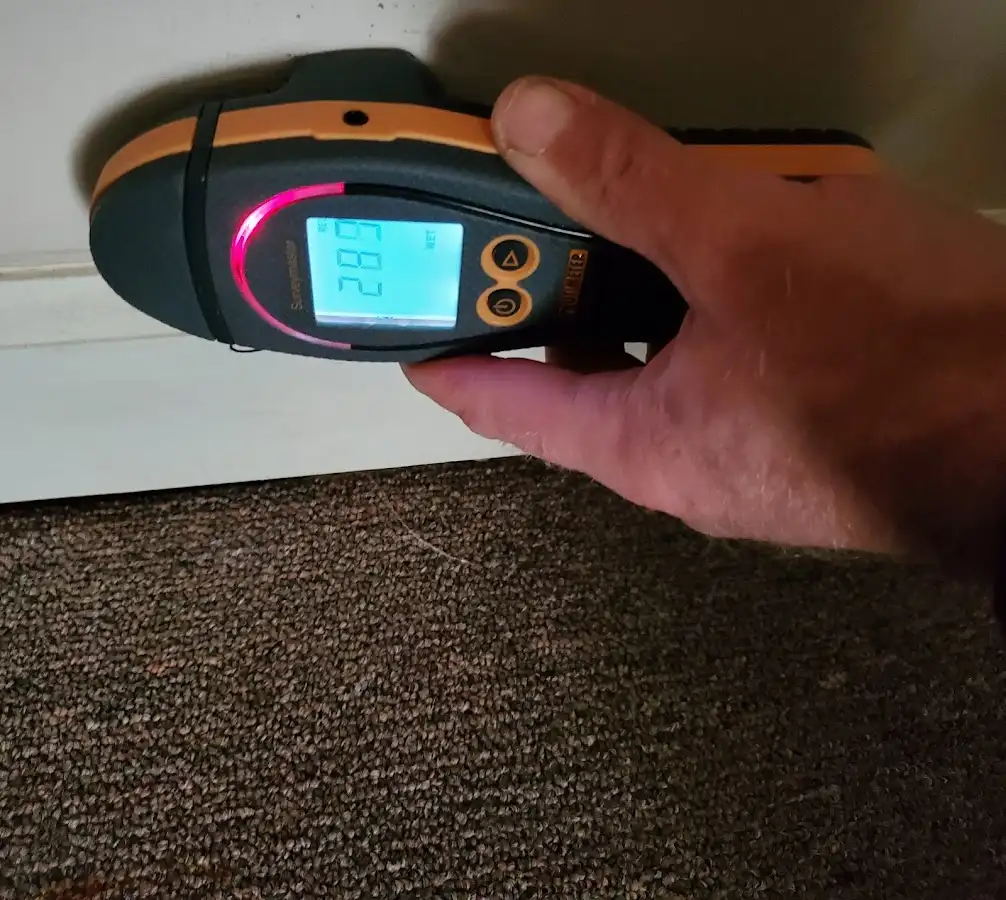 Moisture detection at baseboard during Burst Pipe Cleanup in Annandale
